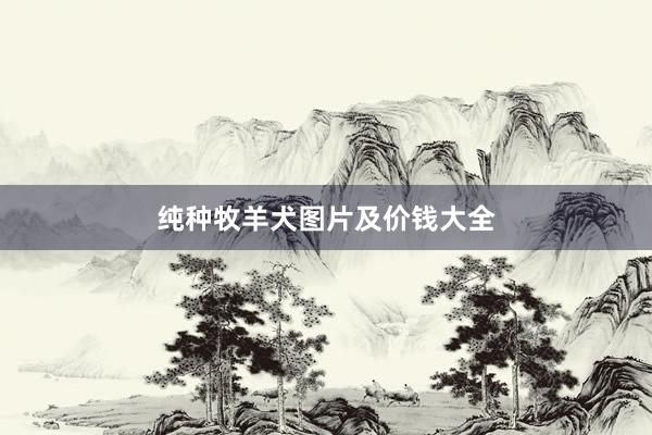 纯种牧羊犬图片及价钱大全